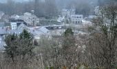 Tocht Stappen Viroinval - Nismes - L'arboretum - Le Fondry des chiens - La Roche trouée - Photo 13