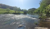 Tocht Stappen Bouillon - rando botassart 24-05-2023 - Photo 15