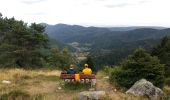 Trail Walking Wasserbourg - Au pied du Petit Ballon par le sentier Hertzog - Photo 3