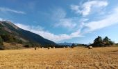 Trail Walking Saint-André-d'Embrun - rikiki rando du lac Siguret - Photo 19