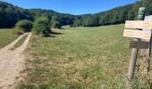Trail Walking Ordonnaz - Ordonnaz  - Photo 3