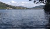 Tour Wandern Gerdsee - Gérardmer  - Photo 12