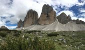 Trail On foot Innichen - San Candido - IT-105 - Photo 3