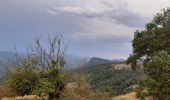 Trail Walking Montferrer - Montferrer . El Castel . Puig de Vilafort -  retour par la piste  - Photo 9