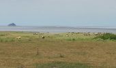 Tour Wandern Huisnes-sur-Mer - Mont-St-Michel - 14km 64m 4h30 - 2017 06 26 - Photo 18