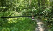 Trail Walking Milly-la-Forêt - Milly-la-Forêt - Forêt domaniale des Trois pignons - Curiosités  - Photo 2