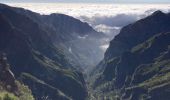 Tocht Stappen São Roque do Faial - Pico Ruibo - Photo 16