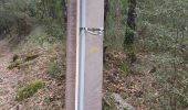 Trail Walking Lorgues - Ferréol berne reco chemin - Photo 4