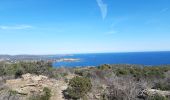 Tocht Stappen Cadaqués - cadaques . sa planassa . far de cala nans . cadaques  - Photo 12