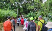 Trail Walking Le Lorrain - Mornes Capot / Lorrain Martinique - Photo 4