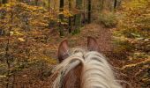 Trail Horseback riding Soucht - suuntoapp-HorsebackRiding-2024-11-10T08-15-44Z - Photo 1