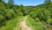 Trail Walking Bouillon - Botassart 240523 - Photo 2