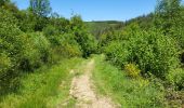 Randonnée Marche Bouillon - Botassart 240523 - Photo 2