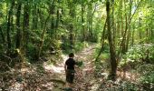 Trail Walking Claveyson - Le bois de Suze - Photo 4