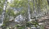 Trail Walking Cette-Eygun - Cette: Cabane de Sabas et col de Pène Blanque - Photo 1