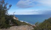 Tour Wandern Leucate - la franqui - phare du cap de leucate / retour par la falaise et la plage  - Photo 16