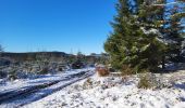 Tour Wandern La Roche-en-Ardenne - Samree 130125 - Photo 18