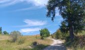 Randonnée Marche Crots - boucle du lac Lauzerot depuis Gendre - Photo 2