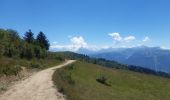 Randonnée Marche Verchaix - col du jour plane . la bourgeoise . pointe d angolon  . nyon du crot . col de joux  plane  - Photo 17