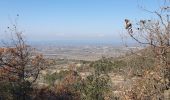 Trail Walking Cairanne - Les Terrasses de l'Aygues - Photo 2