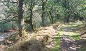 Trail Walking Larmor-Baden - PR_56_Larmor-Baden_BA_02_Tour-De-Berder-Et-Du-Marais_Circuit4a_20240717 - Photo 17