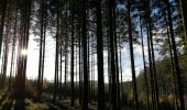 Excursión Senderismo Manhay - De l'autre côté de la chavée - Photo 6