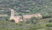 Excursión Senderismo Santa-Reparata-di-Balagna - Occiglioni - Sant'Antonino en passant par le couvent de Corbara - Photo 5