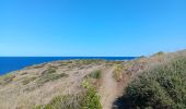 Trail Walking Cerbère - village des aloès - cap cerbère/ aller-retour - Photo 13