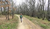 Tour Wandern Belorado - 22.04.18 Belorado--Agés - Photo 3