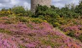 Excursión Senderismo Saint-Sauveur-le-Vicomte - St Sauveur Besneville boucle - Photo 2