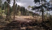 Tocht Stappen Le Poizat-Lalleyriat -  le chemin de l'écureuil - Photo 3