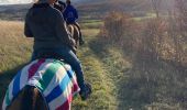 Trail Horseback riding Gresswiller - Triggur gresswiller cva  - Photo 13