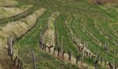 Tocht Stappen Clairvaux-d'Aveyron - Clairvaux les vignes  - Photo 18