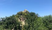 Tour Wandern Amélie-les-Bains-Palalda - Montalba roc St Sauveur  - Photo 16