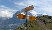 Randonnée A pied Grindelwald - Bachalpsee - Oberläger - Faulhorn - Photo 7