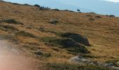 Trail Walking Angoustrine-Villeneuve-des-Escaldes - Le bram du cerf - Photo 1