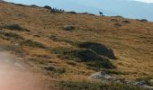 Tocht Stappen Angoustrine-Villeneuve-des-Escaldes - Le bram du cerf - Photo 1