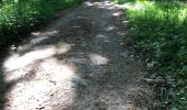 Trail Walking Anthisnes - Vien adeps 11Km - Photo 3