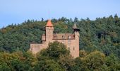 Excursión A pie Erlenbach bei Dahn - Hans-Trapp-Tour - Photo 3