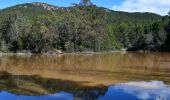 Tour Wandern Puget-sur-Argens - Pk La Lieutenante - Source St Martin - 3 étangs - Piste des Lauriers - Photo 3