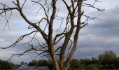 Trail Walking Philippeville - BruBer : Boucle Philippeville-Jamagne - Photo 1