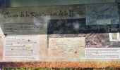 Trail Walking Rombach-le-Franc - Col de Schlingoutte - Photo 12