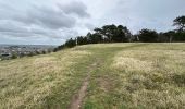 Randonnée Marche Viroinval - Nismes parcours géologique ouest 10,8 km - Photo 13