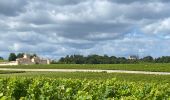 Tour Wandern Sauternes - Châteaux de Sauternes - Photo 9