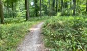 Trail Walking Hoeilaart - Grœnendael ouest + arboretum 9,8 km - Photo 6
