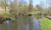 Trail On foot Steinau an der Straße - Gebietswanderweg Rotes Dreieck, Steinau - Zubringer Eselsweg - Photo 9