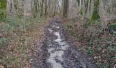 Randonnée Marche Coursac - boucle du rosier marche bleue - Photo 16