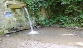 Trail Walking Seraing - boncelles, château de plaineveaux +village  - Photo 2