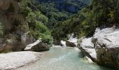 Tocht Stappen Saint-Léger-du-Ventoux - Gorges du Toulourenc - Photo 1