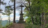 Tour Zu Fuß Epfendorf - Schlichemklammweg - Photo 6